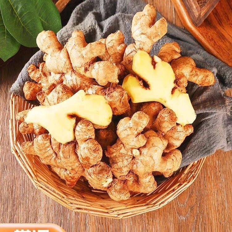 【阿昊】【今年新姜】云南小黄姜新鲜现挖生姜老姜嫩姜仔姜特级姜整箱