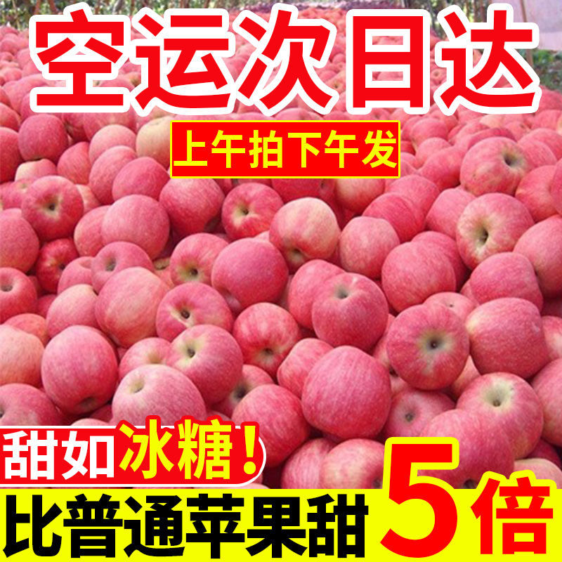【阿昊】苹果水果批发陕西冰糖心红富士新鲜高原丑一整箱一件批发