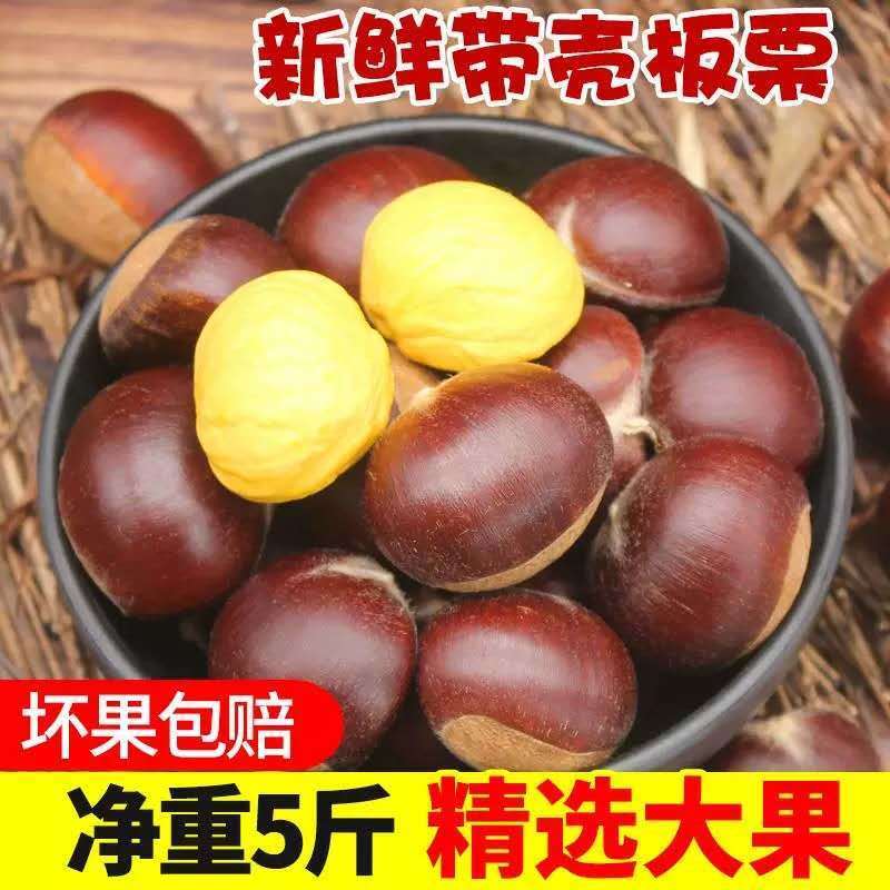 【阿昊】新鲜生板栗装 2020大板栗生栗子丹东东北油栗现摘板栗毛栗
