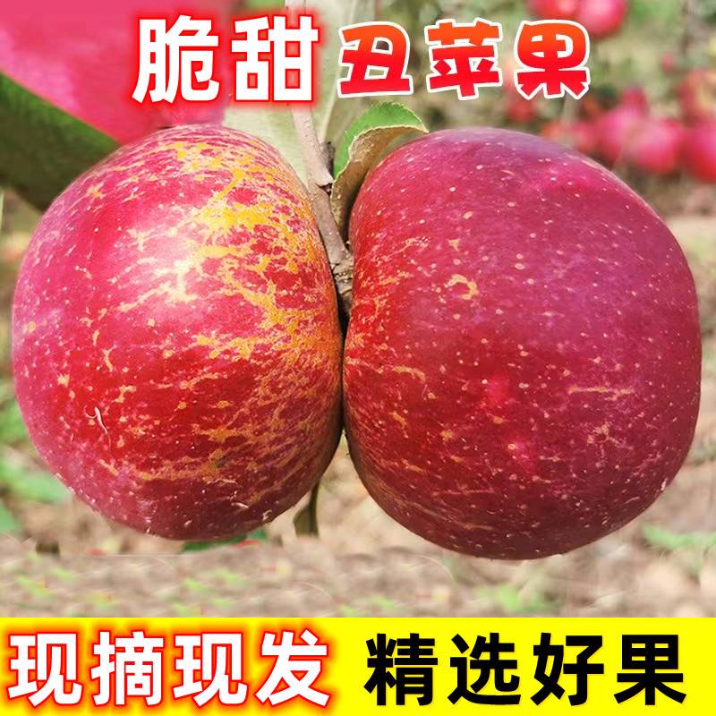 【阿昊】大凉山脆甜丑苹果新鲜现摘当季整箱嘎啦冰糖心盐源红富士20