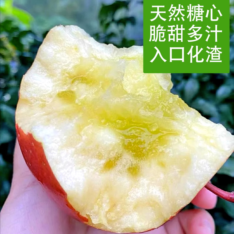 【阿昊】云南昭通丑苹果现摘冰糖心当季新鲜水果整箱包邮