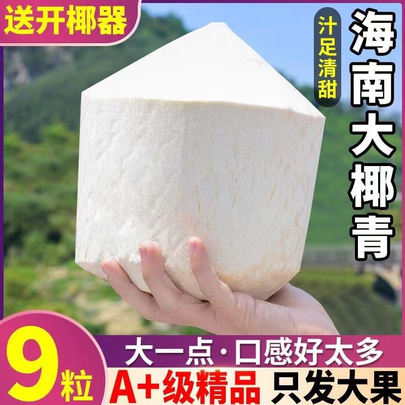 【阿昊】椰青9个装【】海南椰汁孕妇无添加去皮椰子海南新鲜一整箱包
