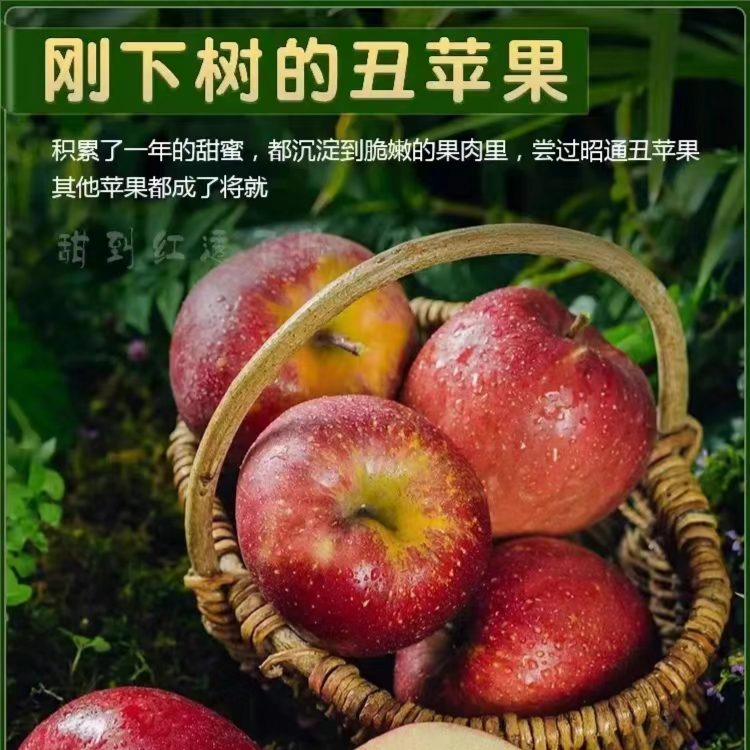 正宗云南昭通糖心丑苹果新鲜脆甜，现摘冰糖心。