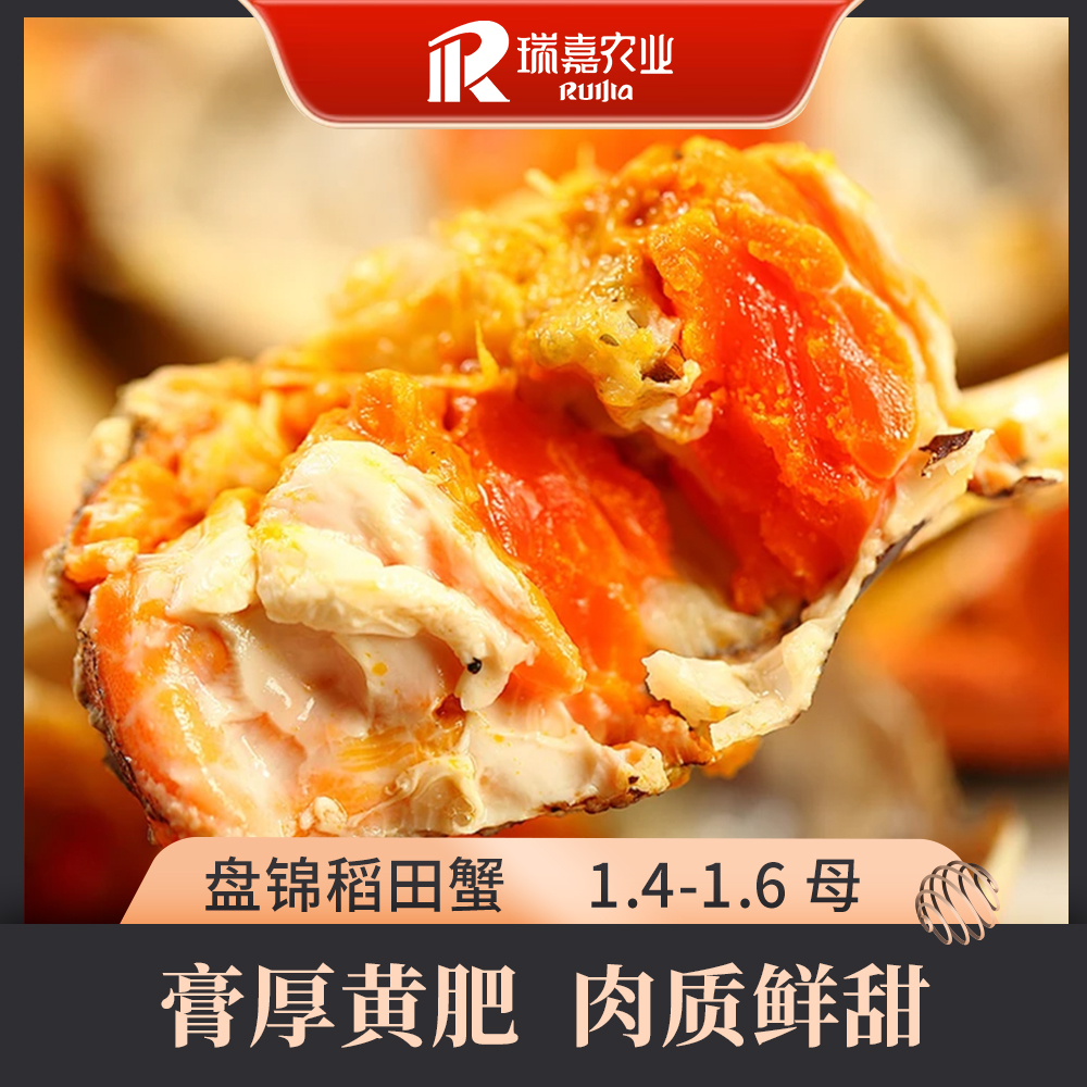 【活蟹】瑞嘉盘锦稻田蟹1.4-1.6两/只 母2斤(12-14只)/3斤(18-21只)