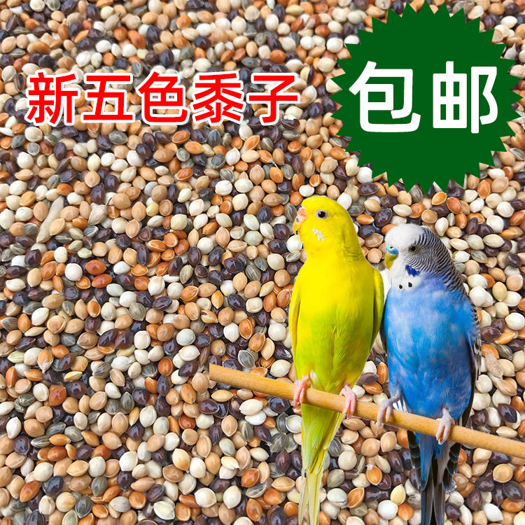 虎皮牡丹玄凤中小型鹦鹉鸟食饲料五色黍子鹦鹉混合粮谷子包邮5斤