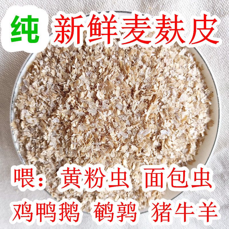 优质新鲜粗细混合麦麸皮钓鱼麦麸子喂鸡鹅牛羊喂黄粉虫面包虫热敷