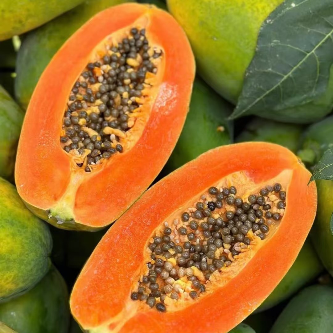 树上熟牛奶木瓜一颗海南省