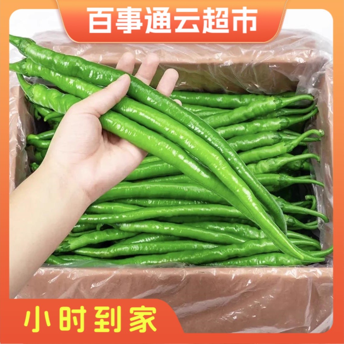 涡阳青线椒辣椒新鲜蔬菜二荆条1斤装辣椒同城配