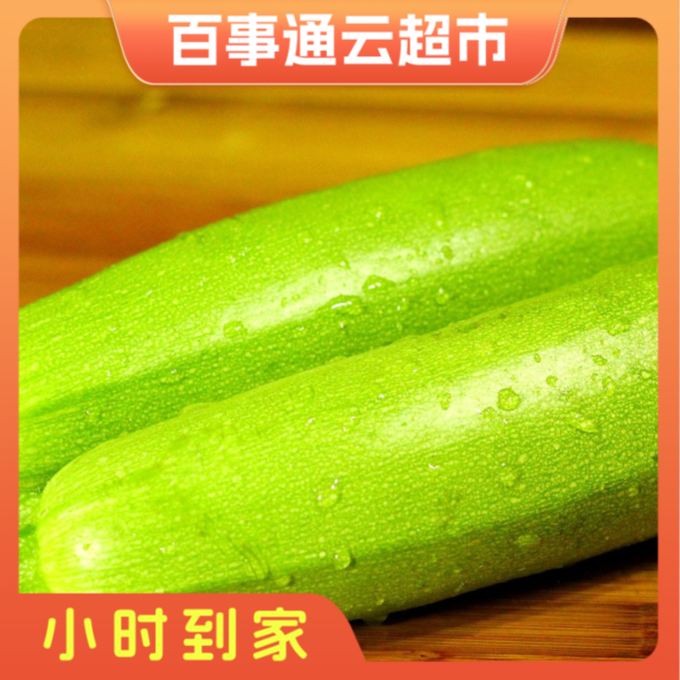 河北西葫芦2斤左右