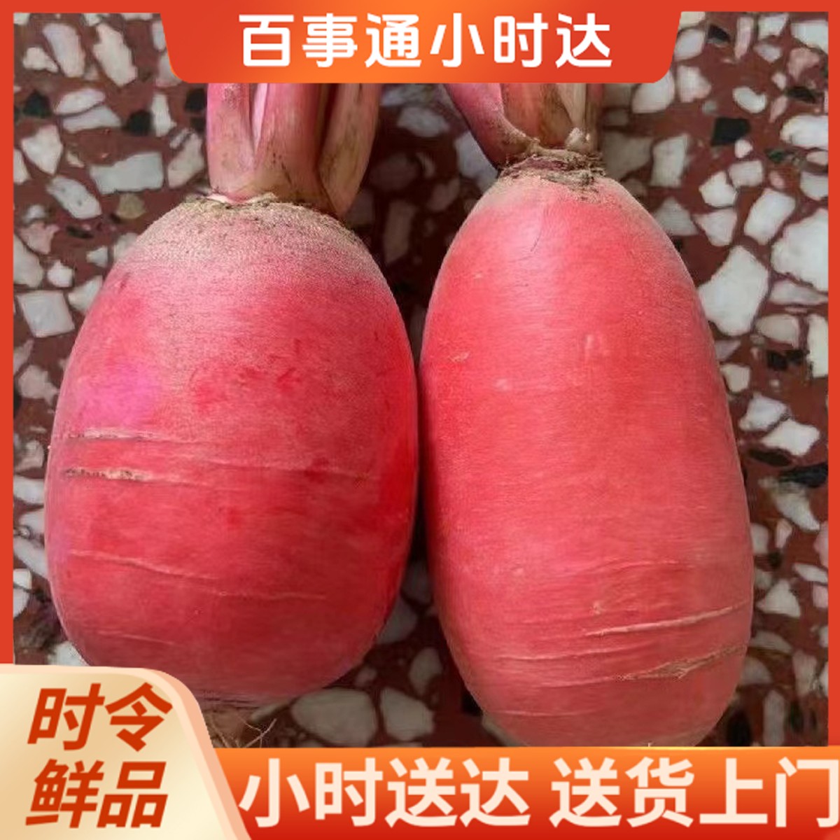 苏北农家自种萝卜红皮萝卜3斤左右红皮萝卜