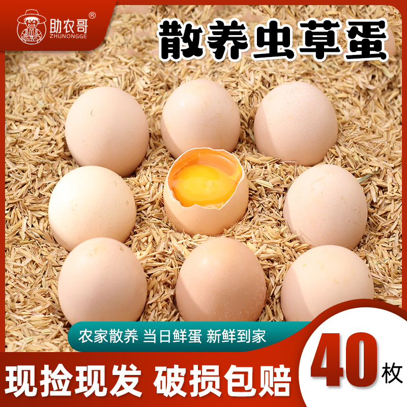 【智哥优品】贵州林下散养粉壳五谷虫草蛋40枚顺丰包邮