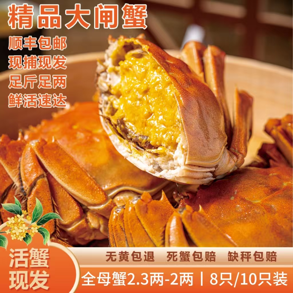 【精品大闸蟹】苏蟹鲜活螃蟹母蟹2.3两-2.0两*10只顺丰包邮速发