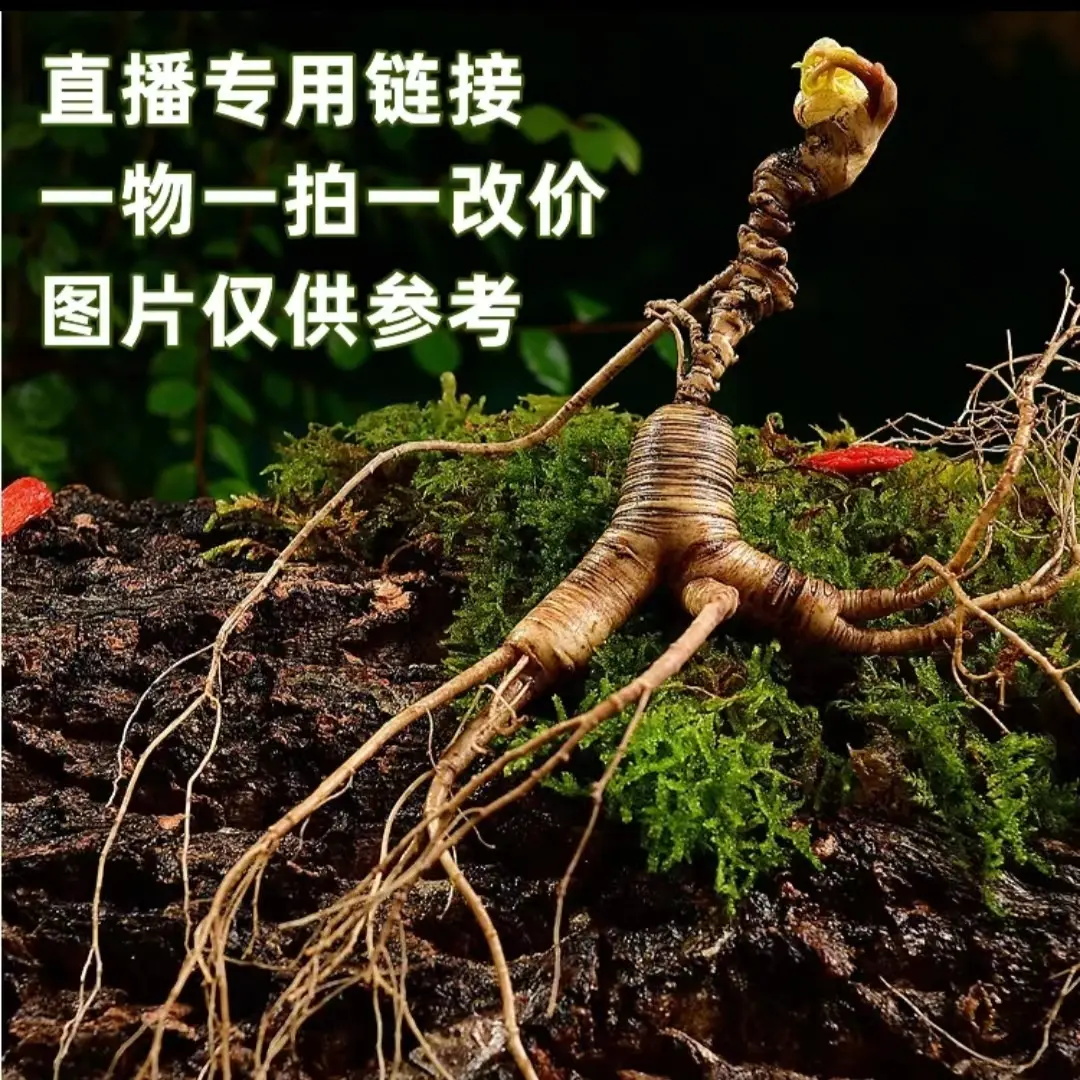 长白山精品林下参鲜参一物一拍