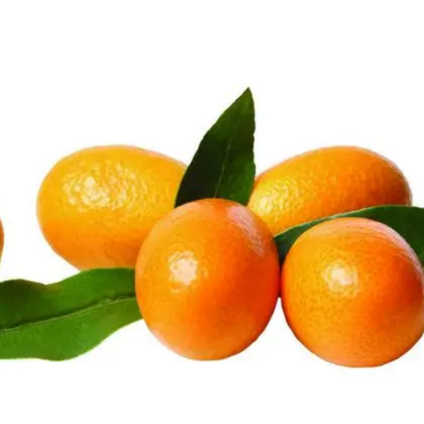 橘橘高山方便好吃一箱5斤