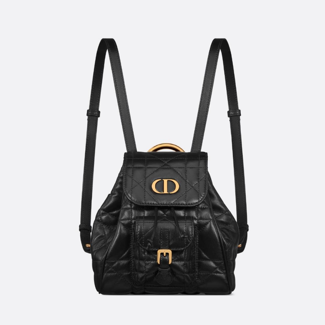 全新未使用 DIOR/迪奥 24新款 Caro小号皮质书包 多色可选