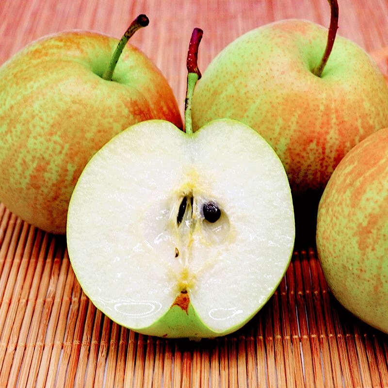 【撒欢牧场专属】山西隰县玉露香梨新鲜梨子当季现摘水果