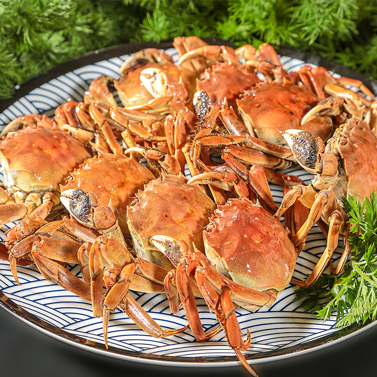 【活蟹】辽府蟹缘 顺丰包邮盘锦河蟹（1.8-2.1两）10只母蟹鲜活发货