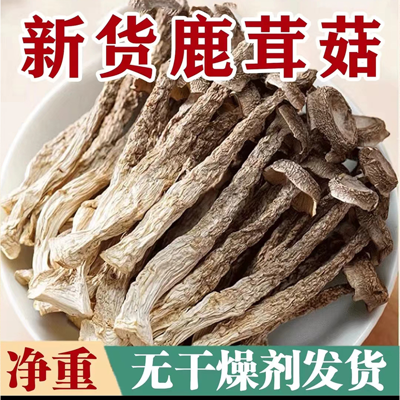 【无干燥剂发货】鹿茸菇新货完整农家特产海鲜菇鹿耳菇净重商用批发