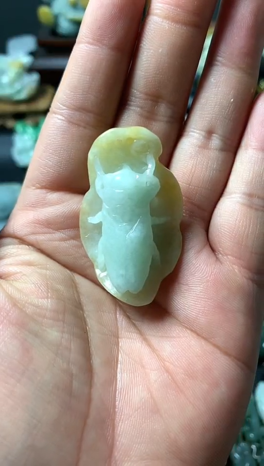 【闪购商品】翡翠颈饰未镶嵌翡翠