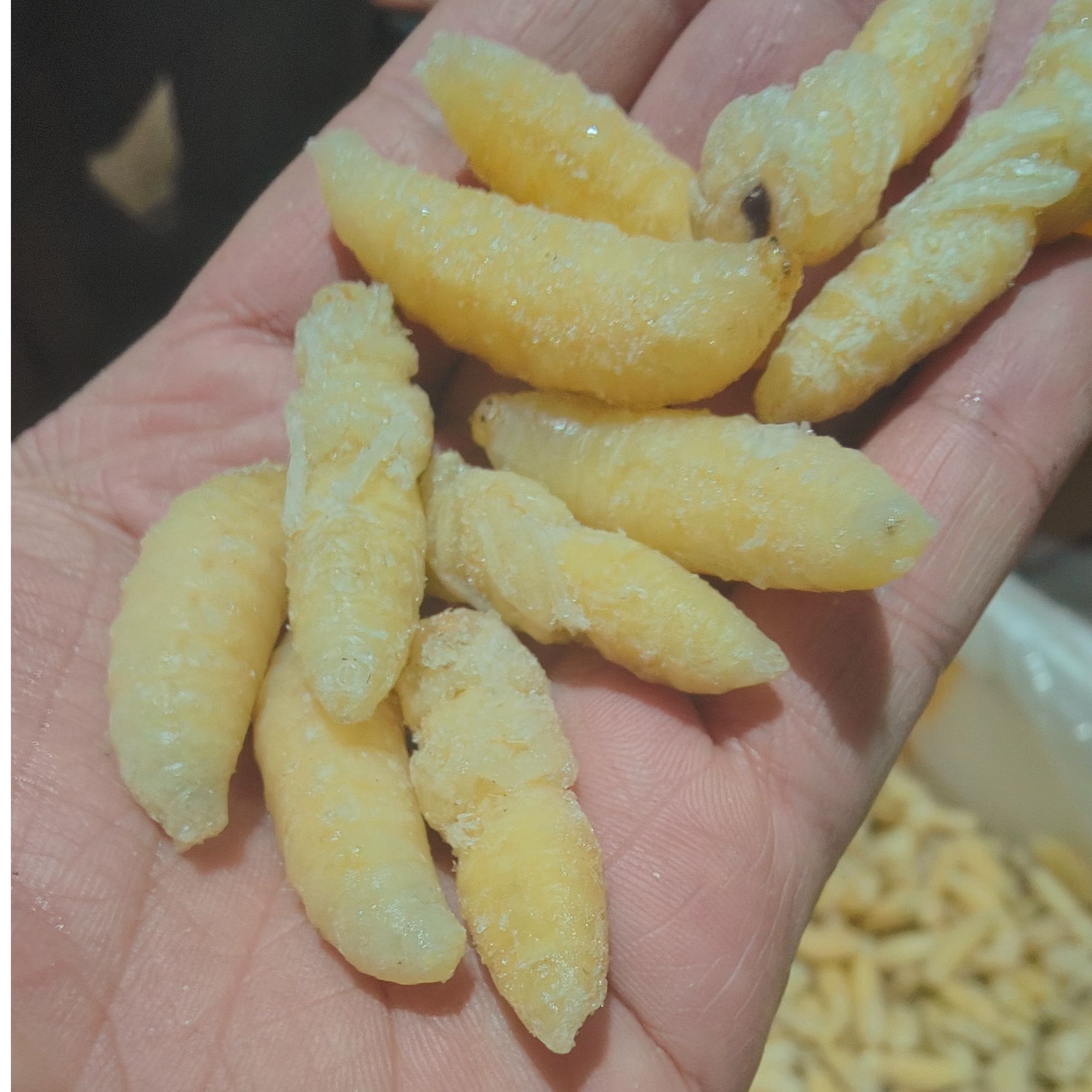 云南昆虫蜂蛹黄马蜂树蜂虎头蜂土蜂500g顺丰包邮