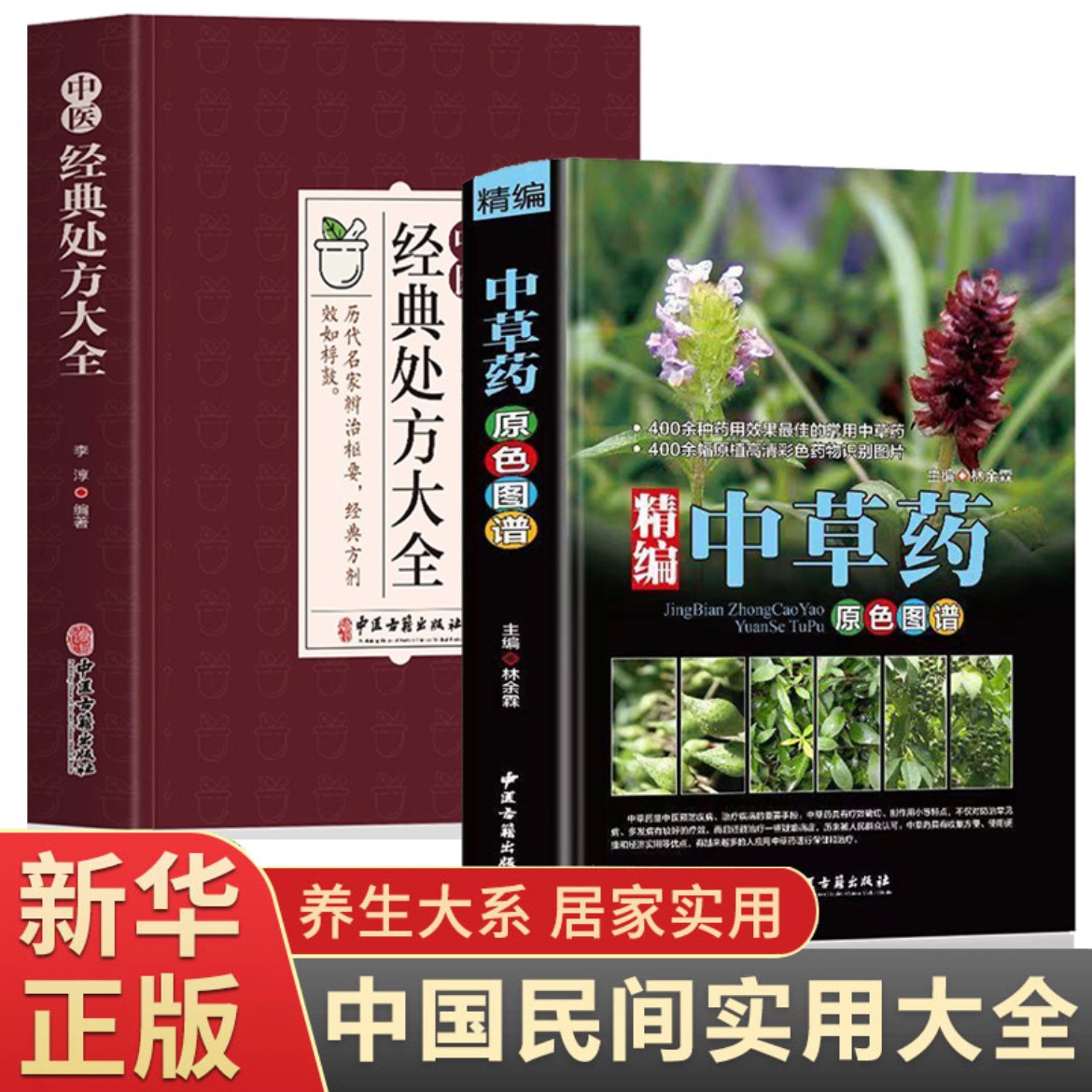 正版全2册中草药原色图谱彩色单册简单易懂+经典处方居家书籍