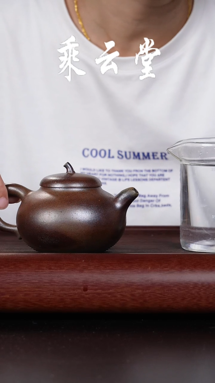 【闪购商品】紫砂茶壶柴烧茄瓜