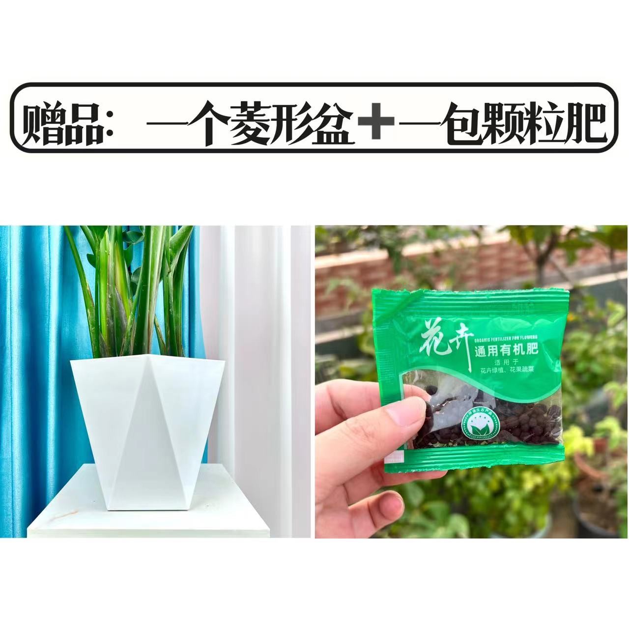 定制菱形盆+颗粒肥