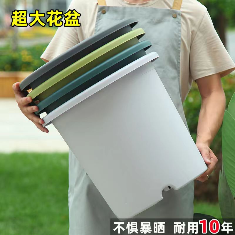 粉丝福利藤本月季爬藤植物 大花盆加厚塑料pp树脂简约花盆