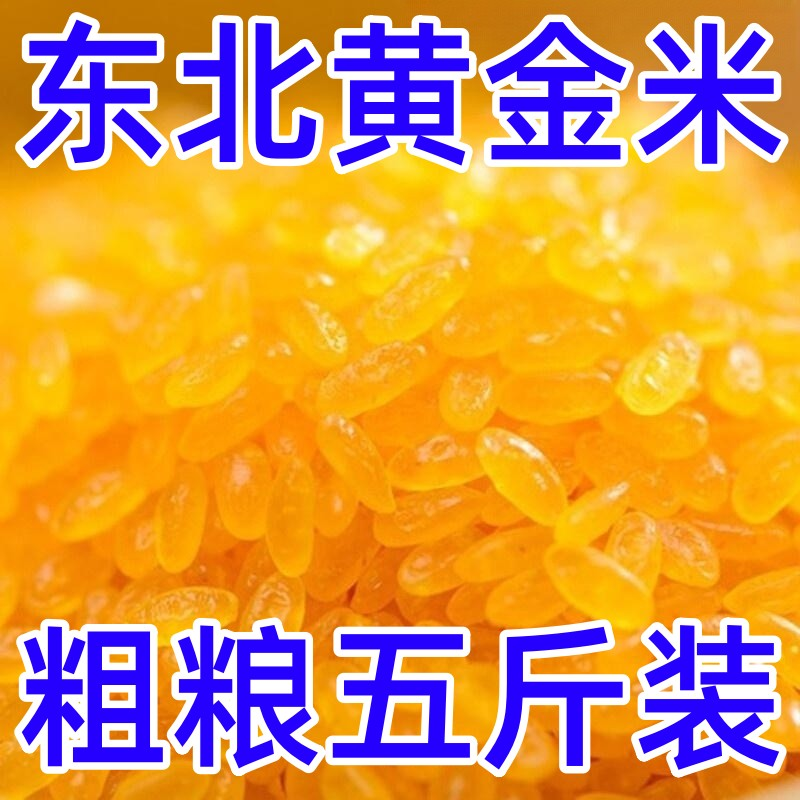 东北黄金米新米正宗黄金大米五谷杂粮颗粒饱满粗粮细作五谷杂味道