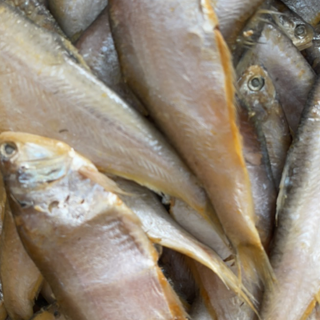 渔鲜福青岛毛口鱼（黄尖子鱼）5斤