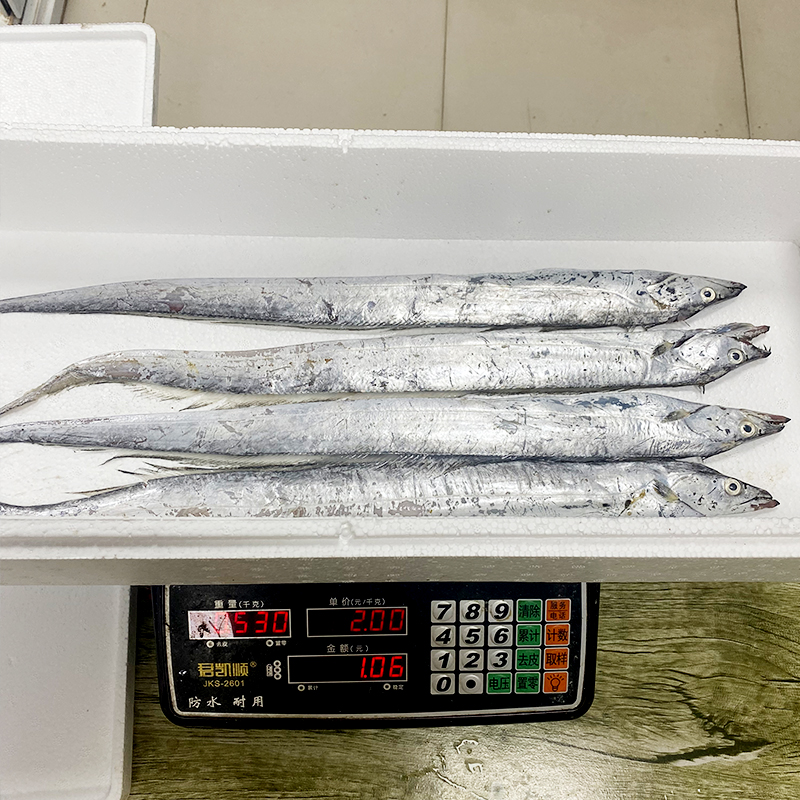 渔鲜福AAA深海小眼油带6斤青岛发货鲜鱼每条2两到3两地网鱼