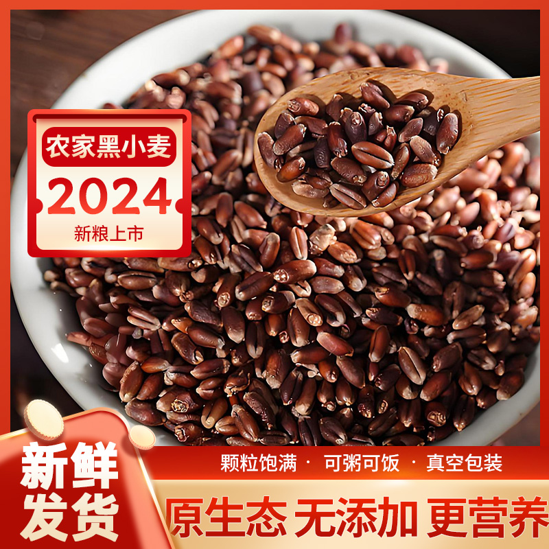 2024年新货黑小麦粒5斤 黑麦子带皮熬粥磨面农家麦子粗粮五谷杂粮