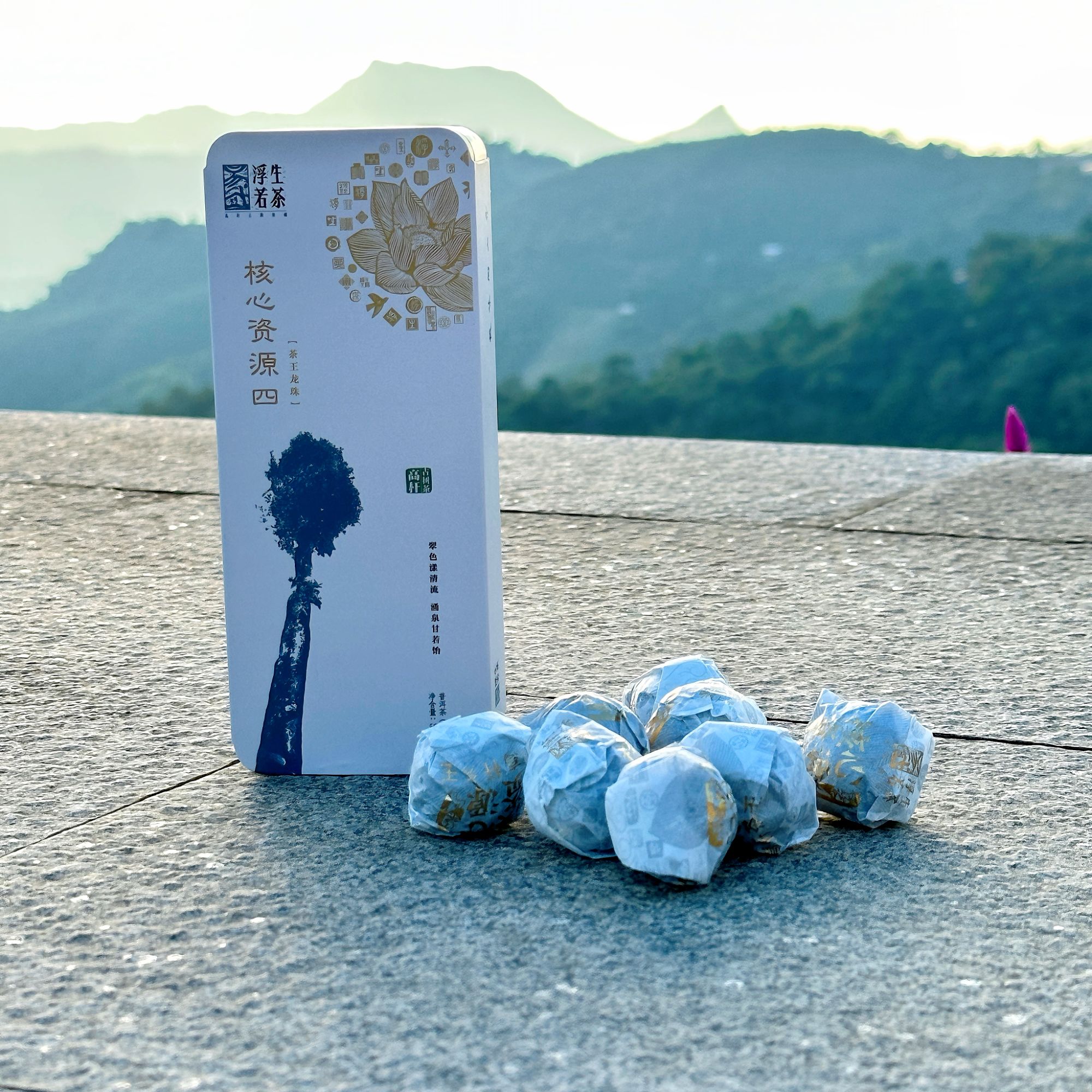 2021年核四高杆古树茶王龙珠普洱茶生茶饱满厚实油润古法传统晒青