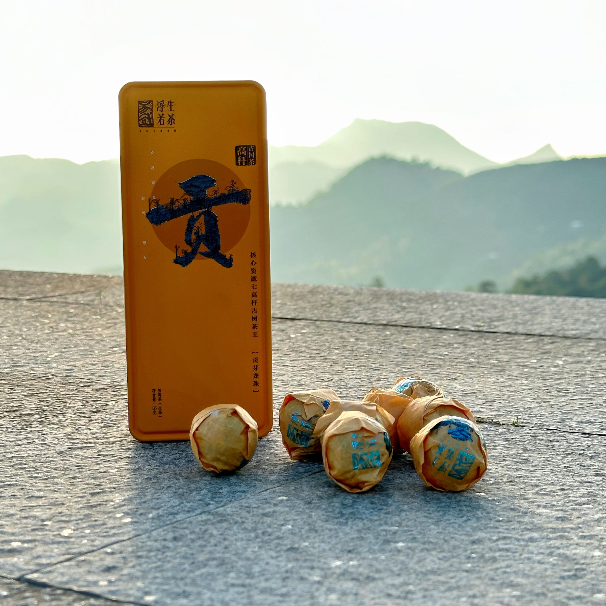 2024年高杆古树茶王贡芽龙珠普洱茶生茶饱满厚实油润传统晒青