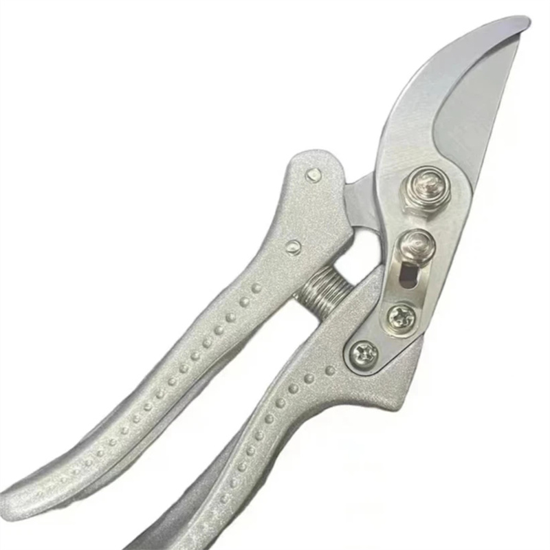 （28-358）剪刀，直播定向链接，不要私自拍下，主播让拍再拍