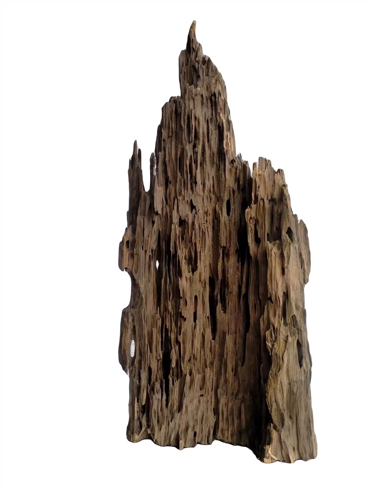 山水园艺鱼缸造景虾木卧室阳台通用通用节日