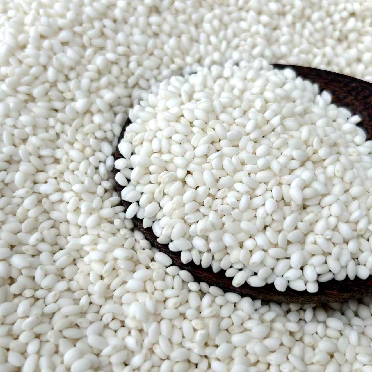 贵州梯田圆粒糯米蔬菜新糯米香软糯米糯米粽子糯米饭专用糯米包邮