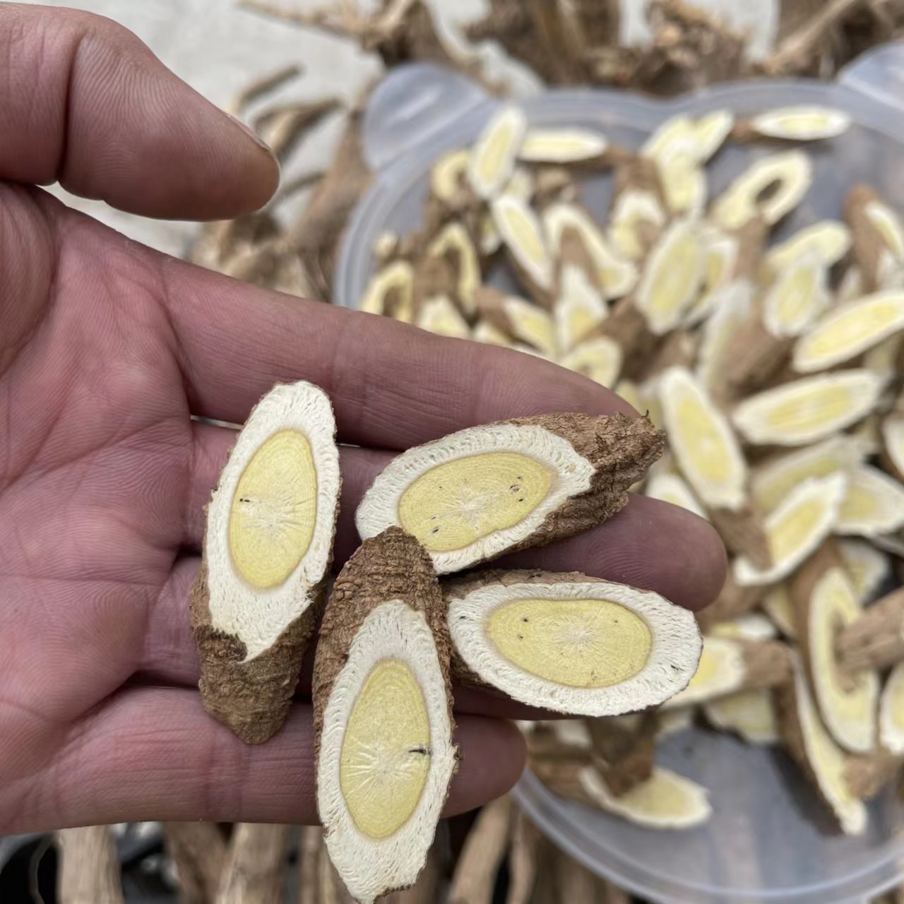 甘肃特产山货多年生老黄芪泡水煮水煲汤包邮