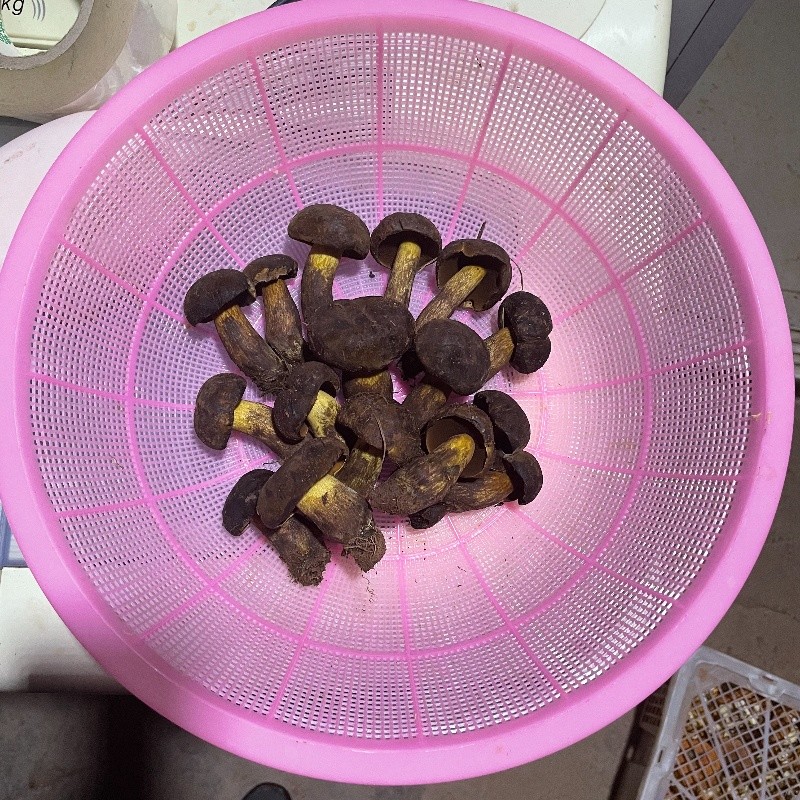 云南楚雄禄丰新鲜精品黑牛肝（野生菌）1000g顺丰冷链包邮