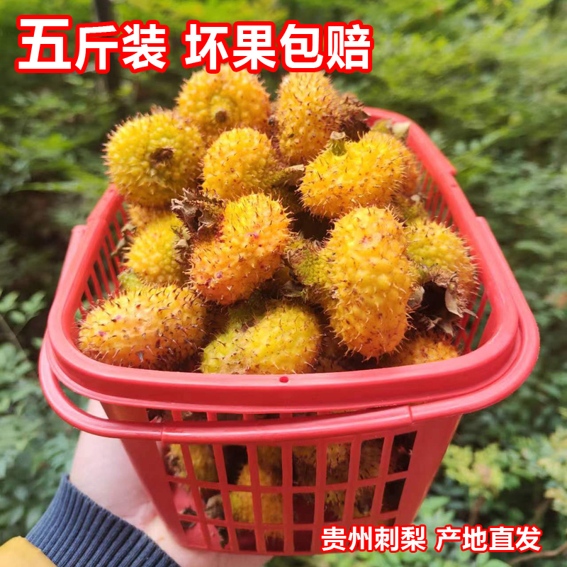 23年贵州野生鲜果刺梨 现摘新鲜刺梨果2500克 维C王 泡酒泡茶