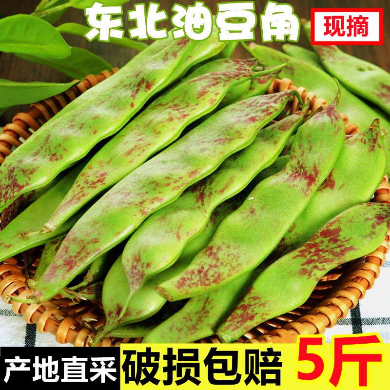 东北油豆角现摘新鲜蔬菜5斤一点红油豆角九月青黑龙江整箱10