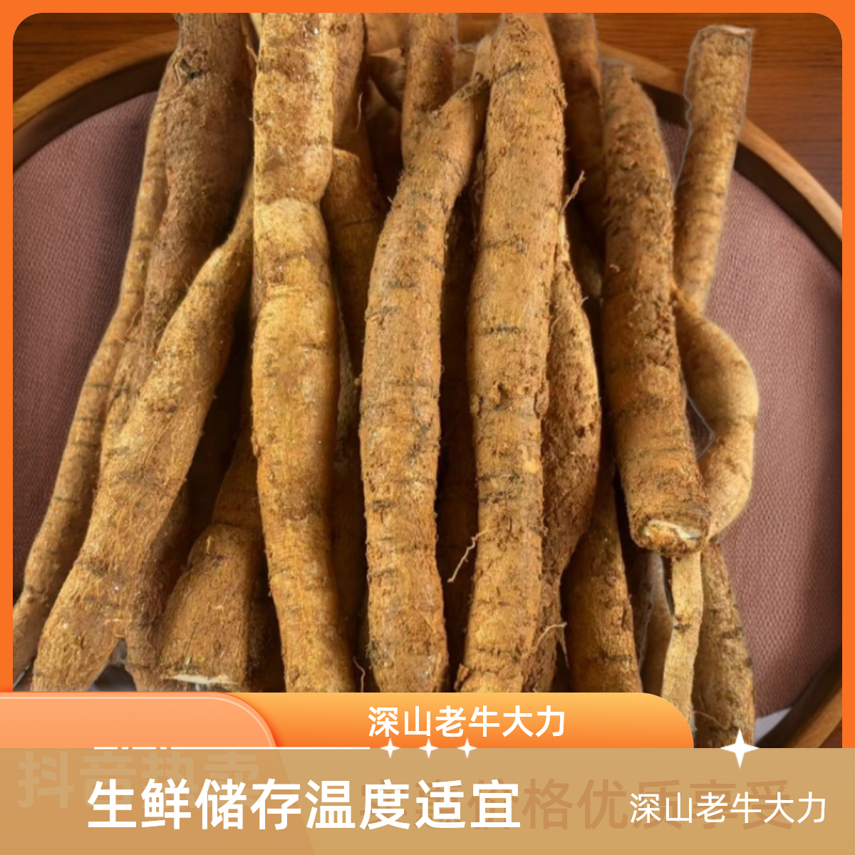 广东云浮深山牛大力根茎[5斤装]