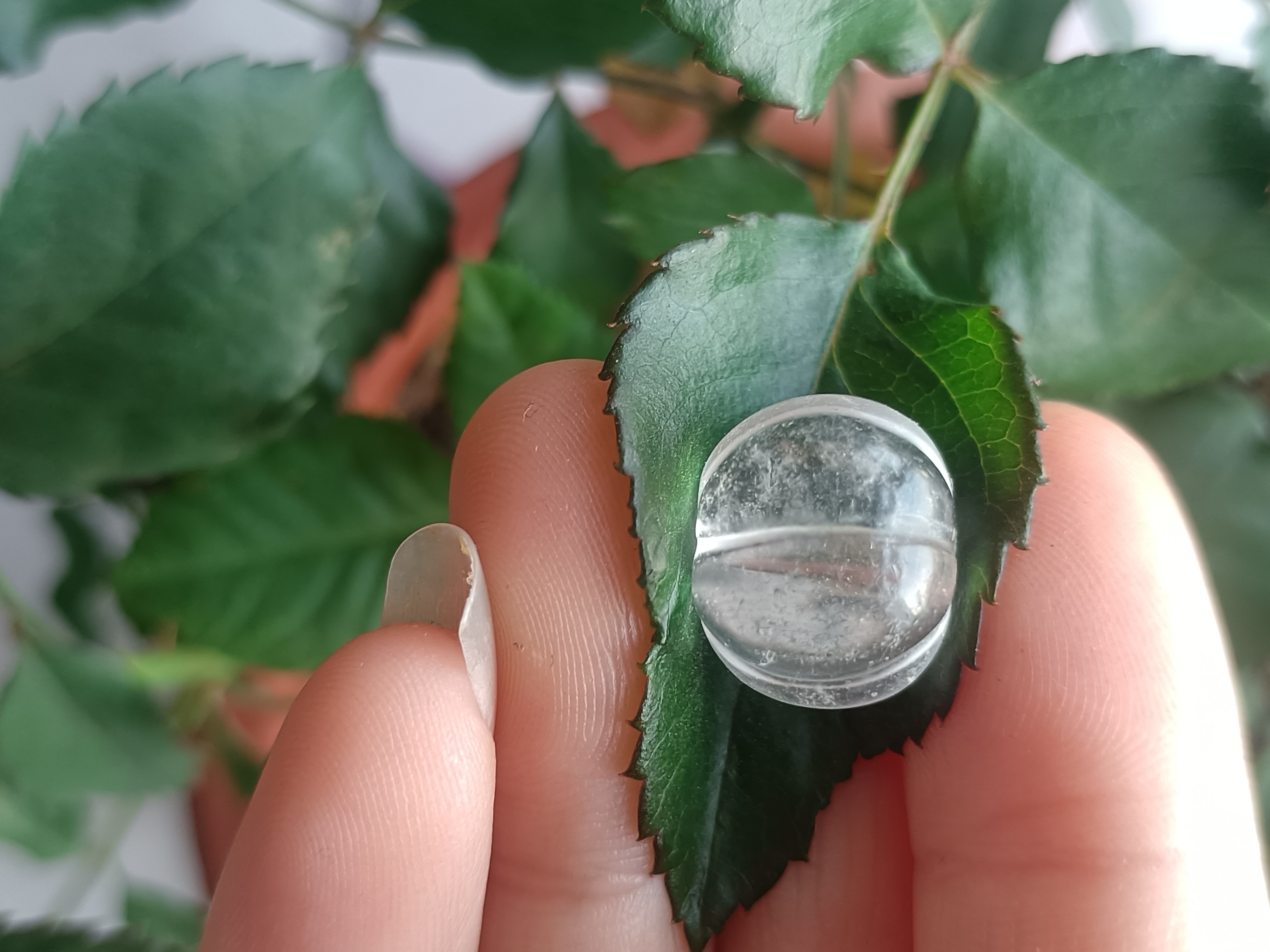 燕子古珠—水晶吊坠