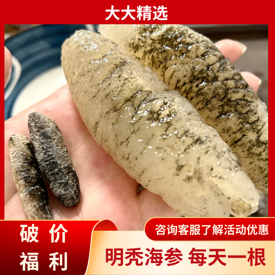 知秋滋补 明秃海参海产干货珍品海参水产海参