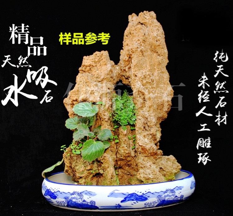 微景观，吸水石盆景，水培绿植盆景！