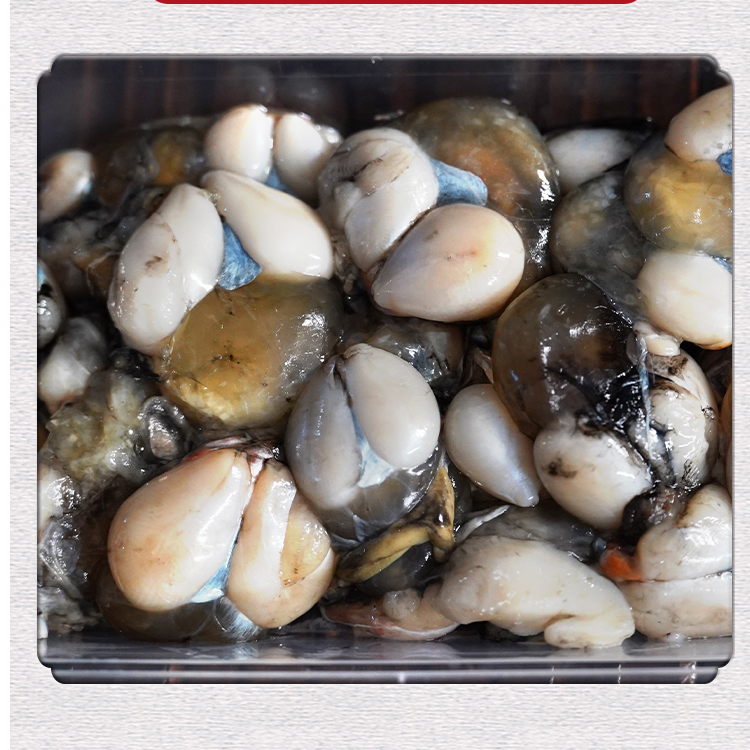 腌制墨鱼蛋新鲜目鱼蛋舟山特产乌贼蛋宁波海鲜水产干货腌制海产品