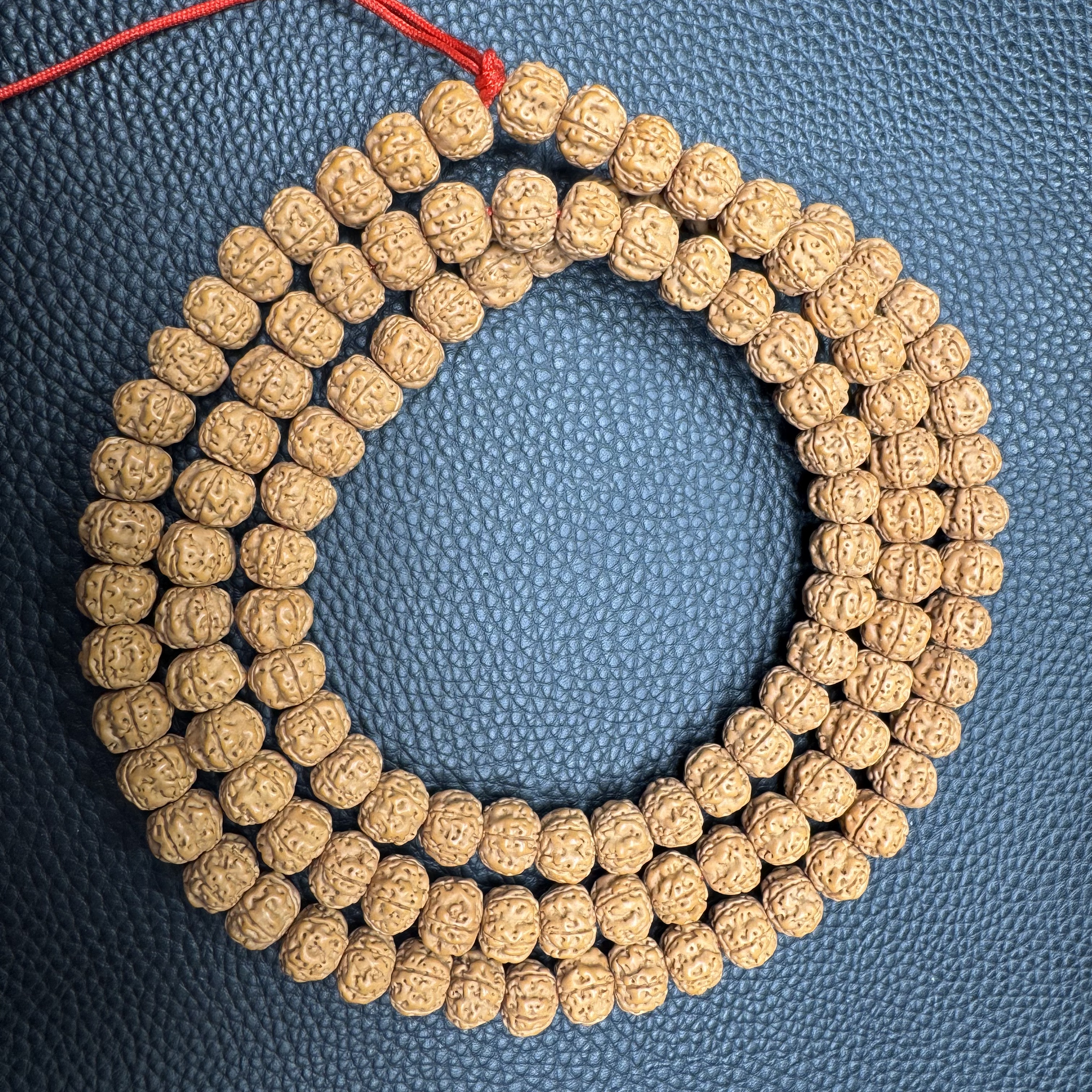 《小鱼文玩》C001金刚菩提原桩盘龙小金刚长串11mm左右一条