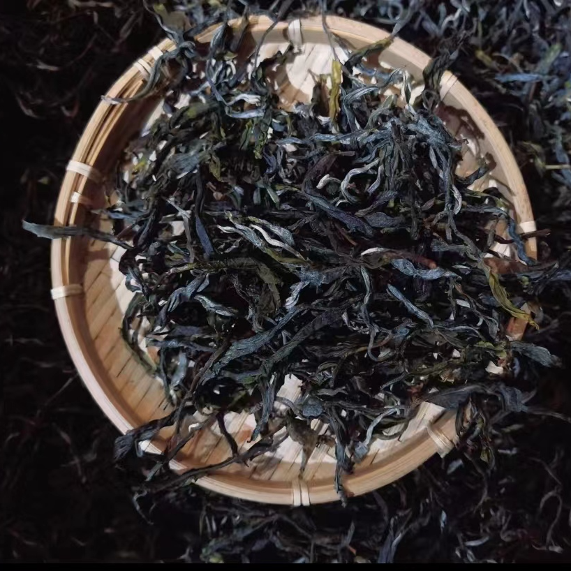 梅子箐锅底塘2025年古树春茶