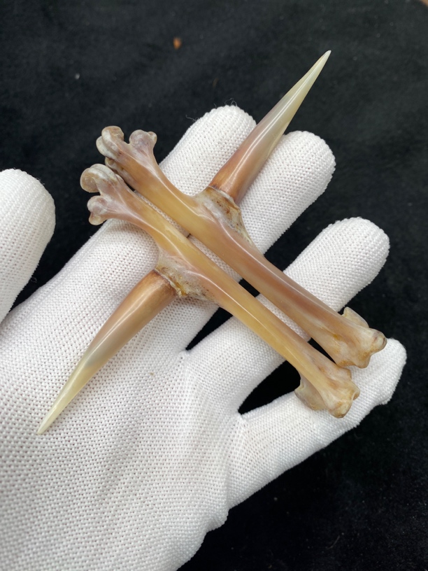 鸡爪骨，鸡蹬子钥匙扣，下单带保养油装饰品手套