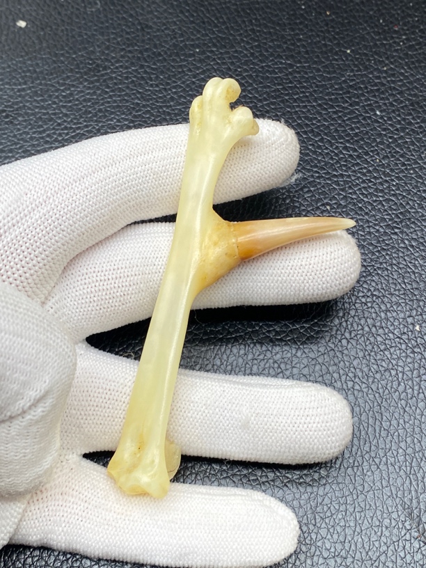 鸡爪骨，鸡蹬子钥匙扣，下单带油装饰品手套